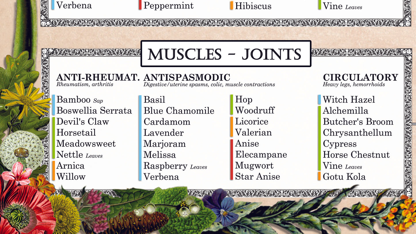 Poster "Herbal Medicine"