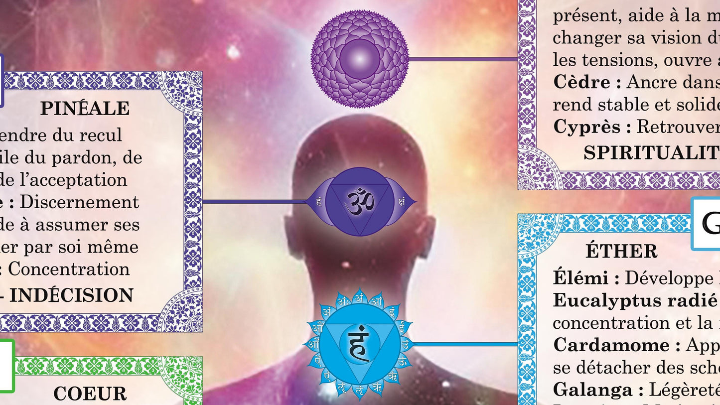 Poster "Olfactothérapie"