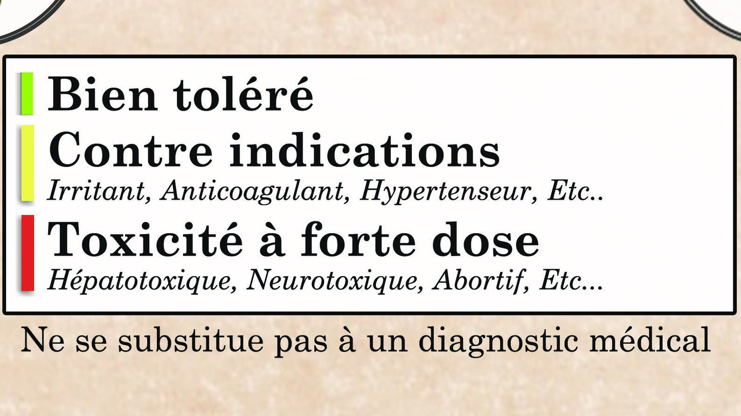 Poster "La phytothérapie"