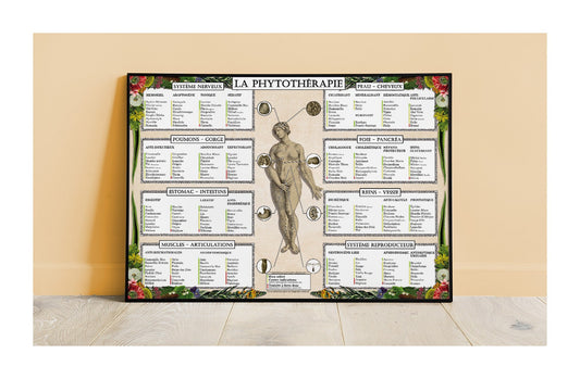 Poster "La phytothérapie"