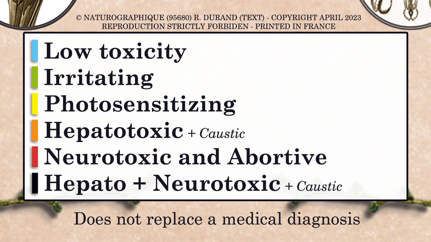 Poster "Aromatherapy"