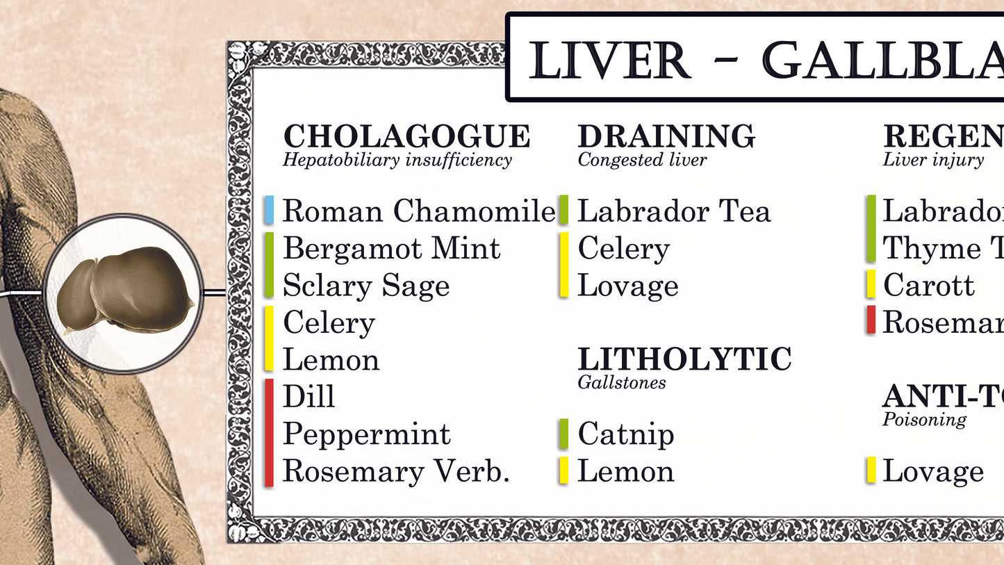 Poster "Aromatherapy"