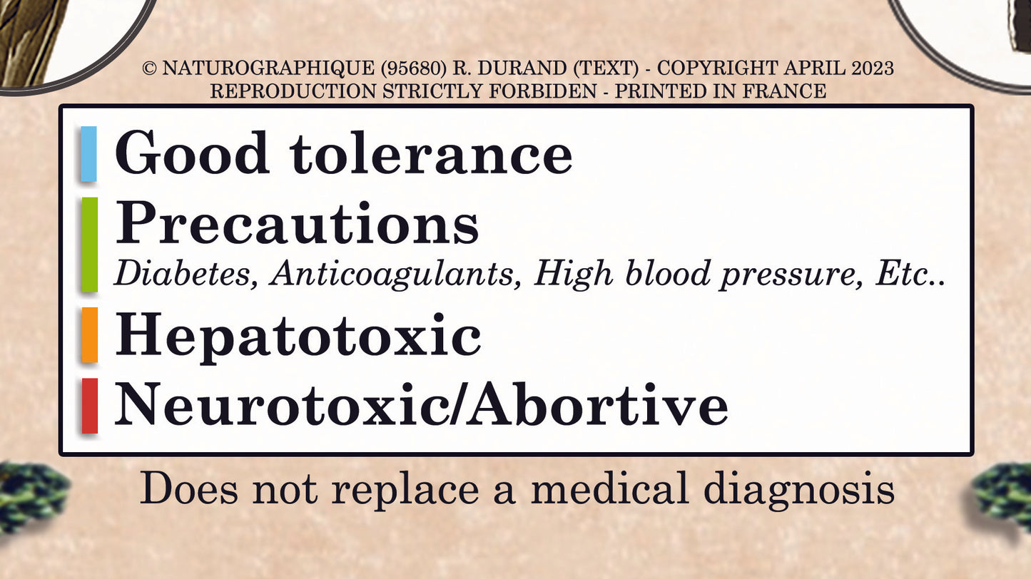 Poster "Herbal Medicine"