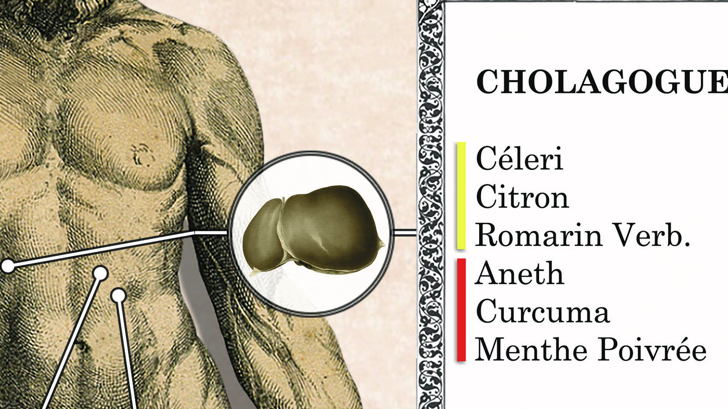 Poster "L'Aromathérapie"