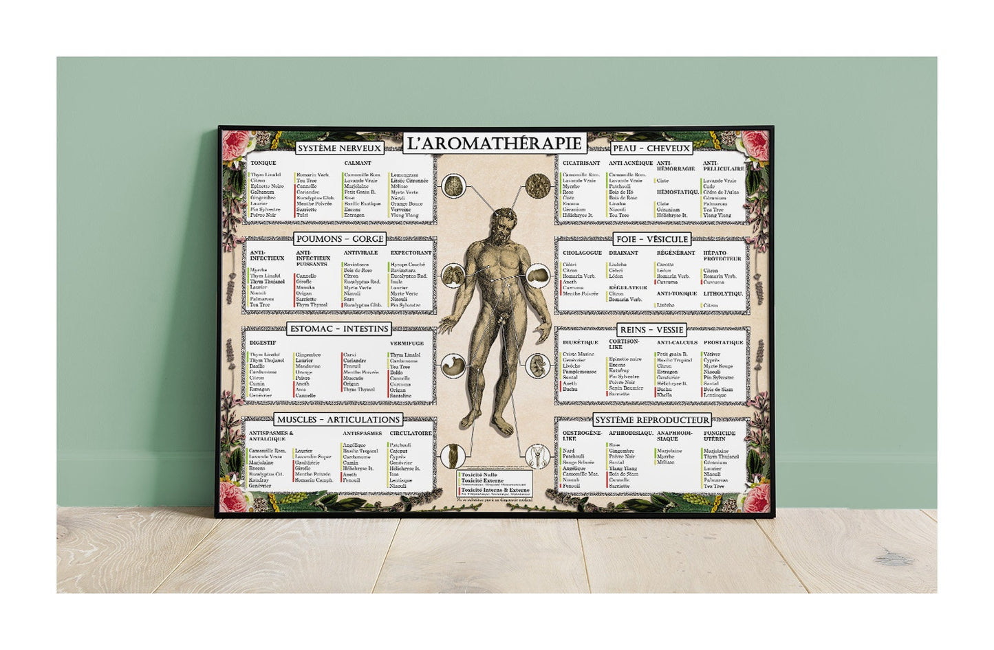 Poster "L'Aromathérapie"