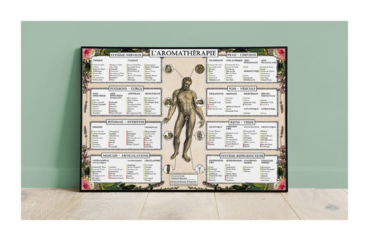 Poster "L'Aromathérapie"